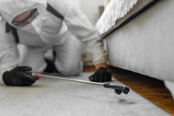 Professional Termite Control technician working in McDade, TX