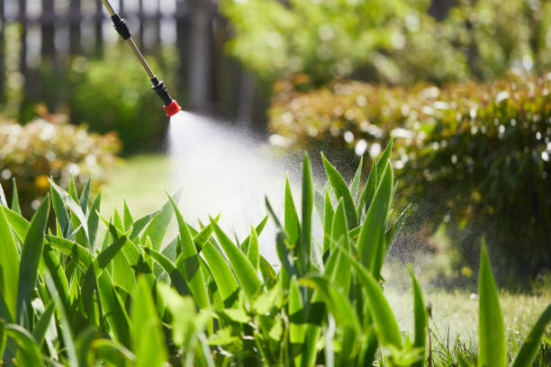 24/7 Emergency Termite Control experts in McDade, TX