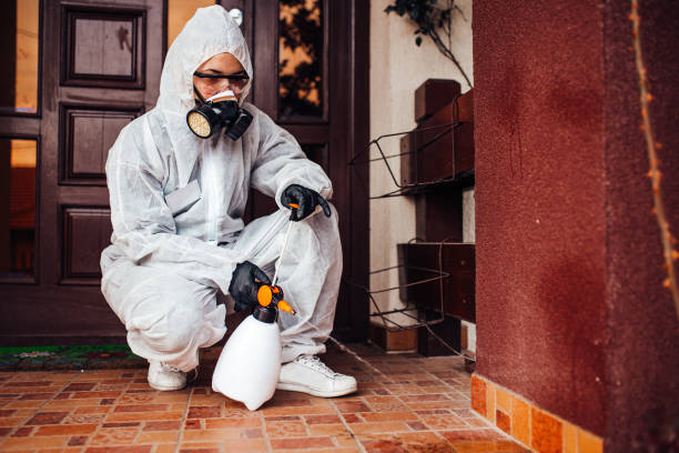 Reliable Termite Control contractor in McDade, TX by Nex Pest Control