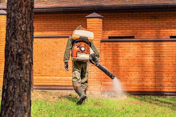 Top rated local Termite Control specialists in McDade, TX
